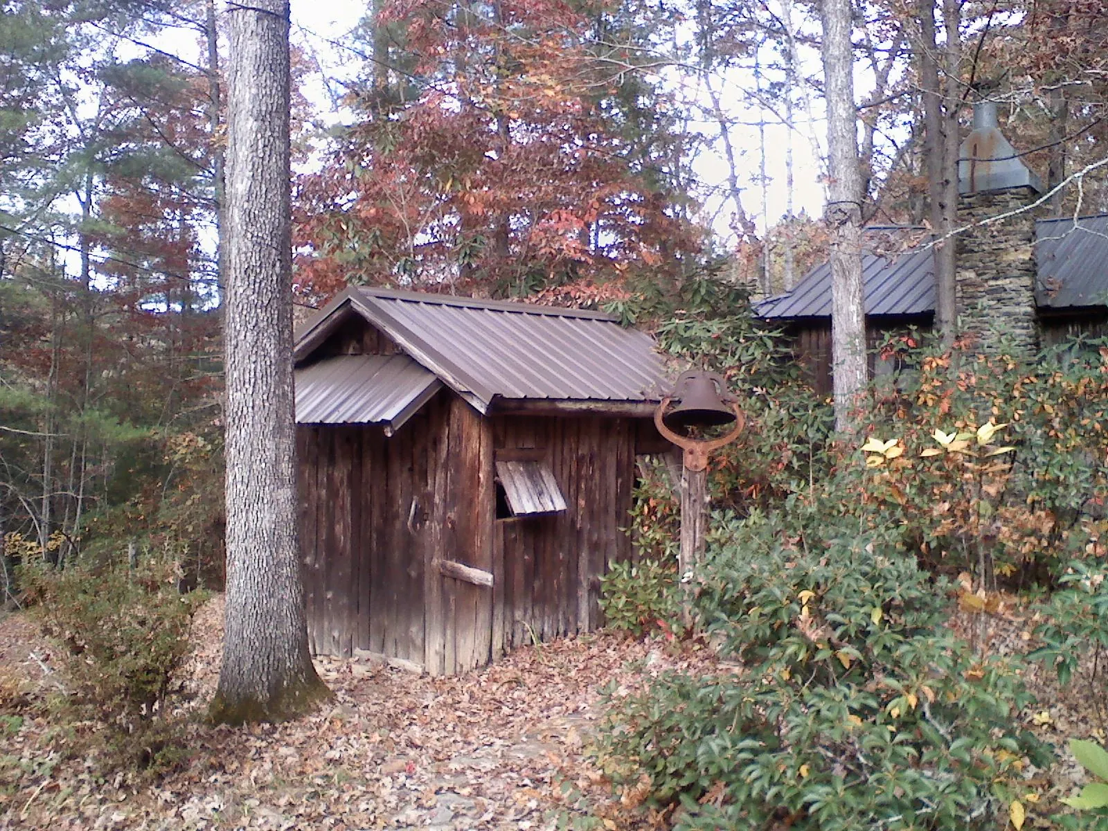 Small metal roof on a rough sawn shed in the woods in Serena