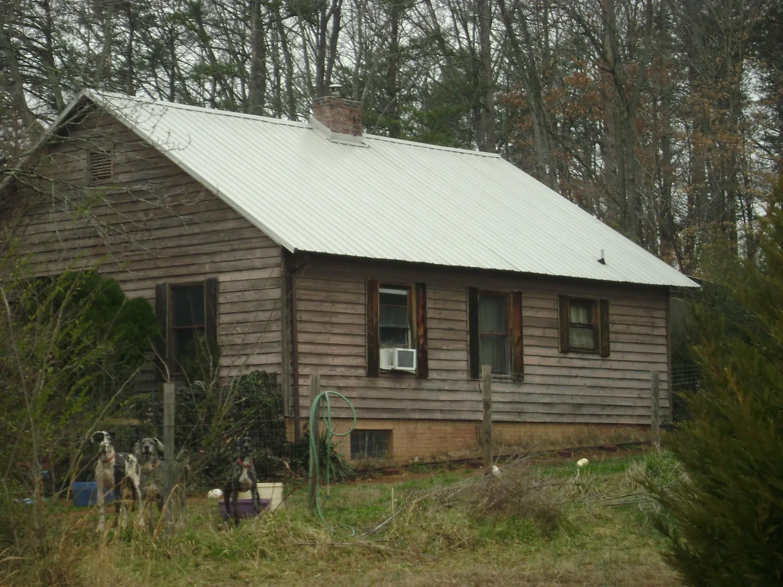 White metal roof on an old wood sided farmhouse, from a Asphalt Shingle Roof Repair job in Serena